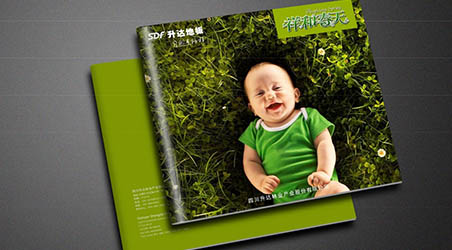 【團隊案例】升達地板—地板行業(yè)—企業(yè)VI設計—產(chǎn)品包裝設計—平面設計